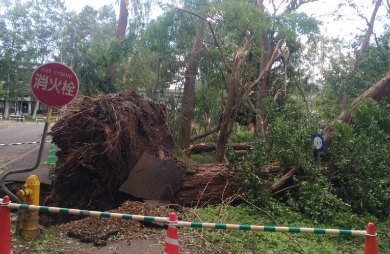 台風と地震で本学も被害【被害まとめ】