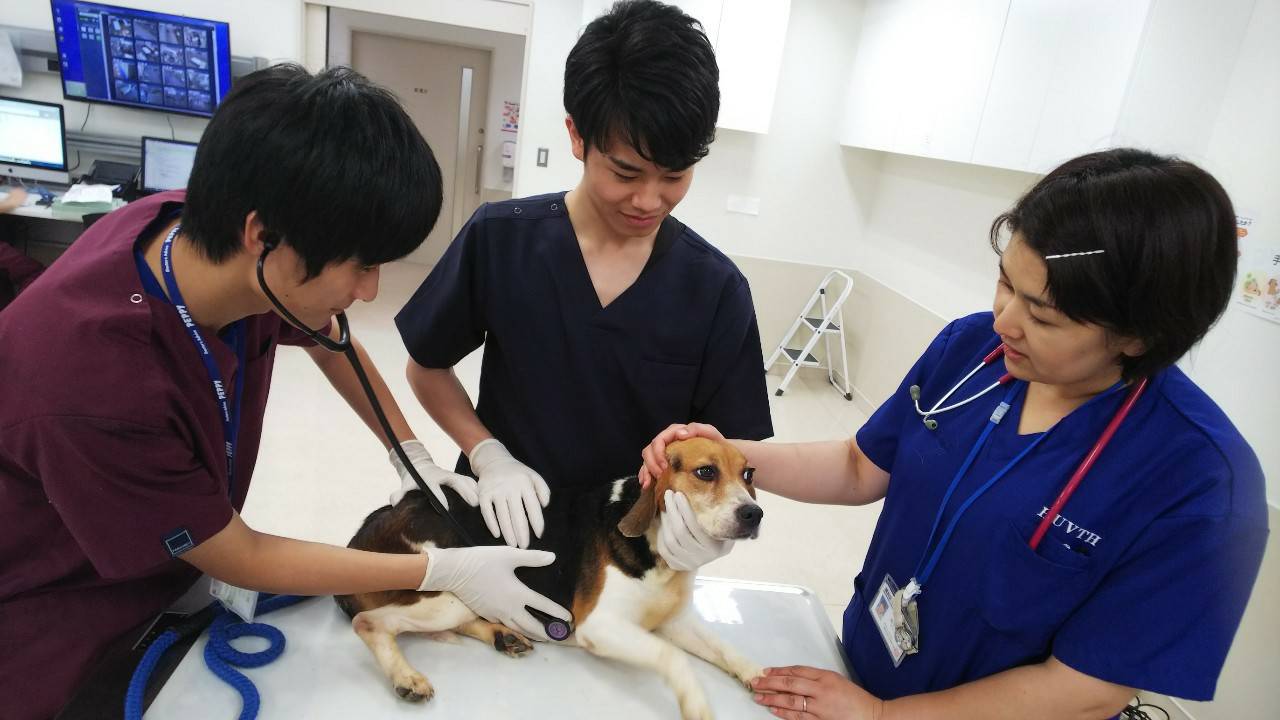 動物医療センターがロゴマーク募集　「親しみやすさ伝えたい」