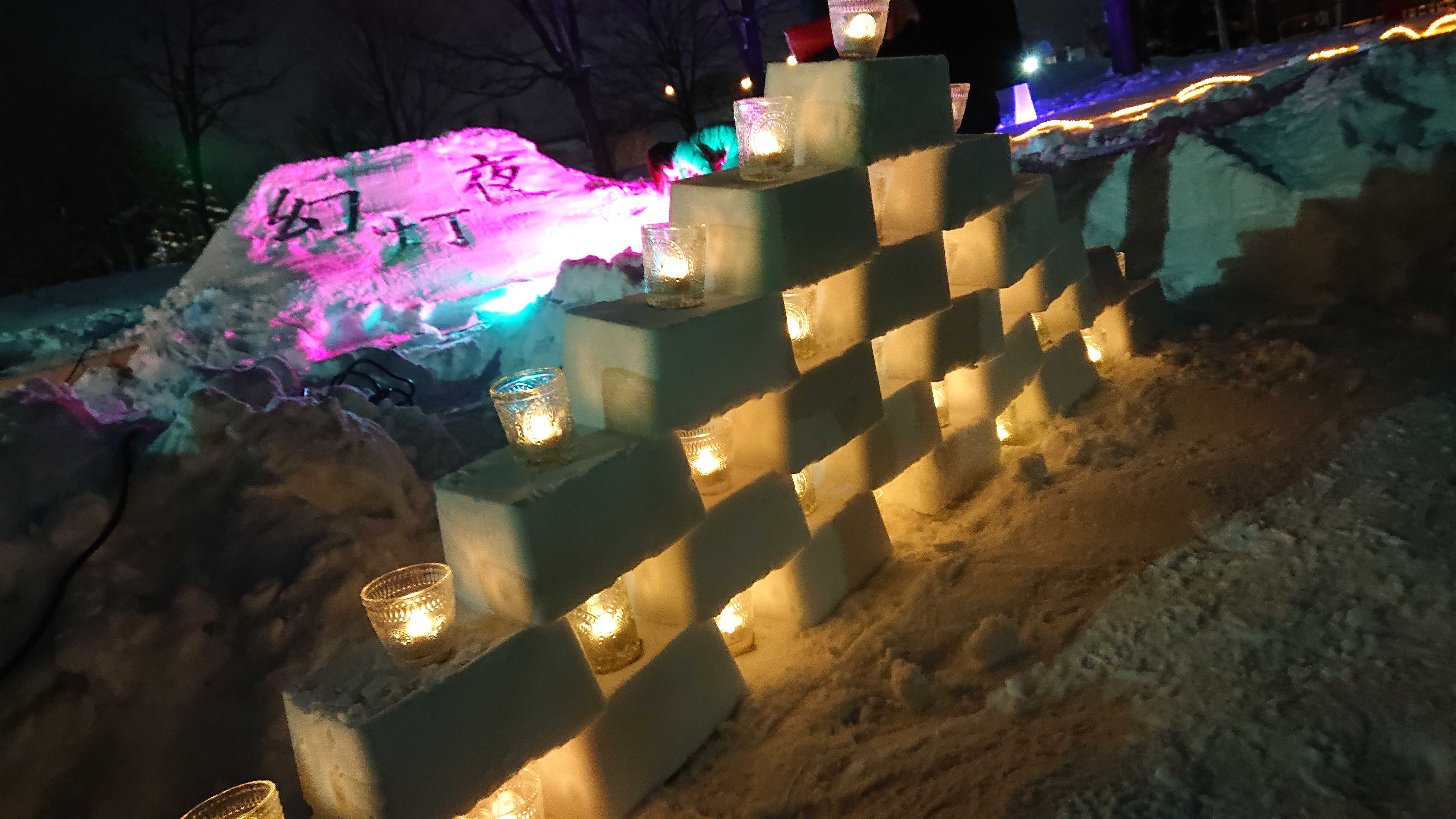 雪の北大を灯りが照らす　—ライトアップイベント開催、金葉祭実行委（動画あり）