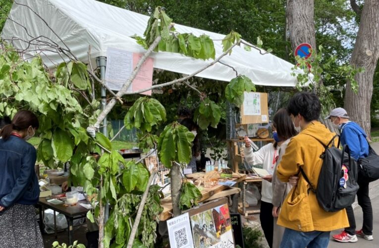 【第64回北大祭】森林の知識とこだわりが詰まった企画　―北大森林研究会