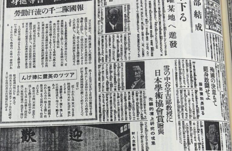 戦後の市民、高みの見物