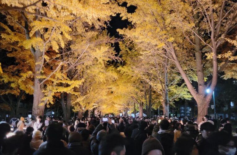 荒天やステージ中止も賑わい途切れず　第14回金葉祭、秋のキャンパスを彩る